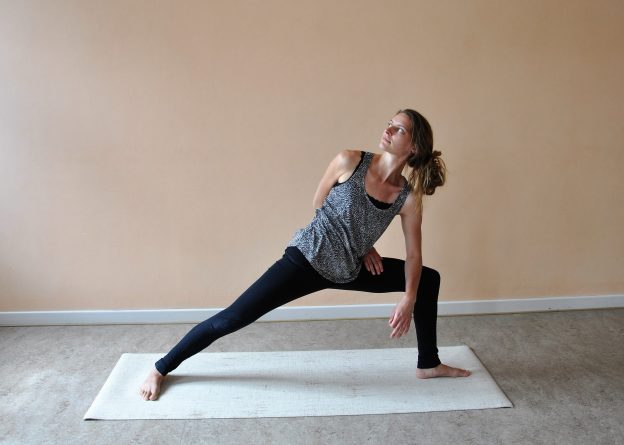 TriYoga Asana Side Warrior