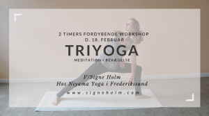 workshop tri yoga frederikssund